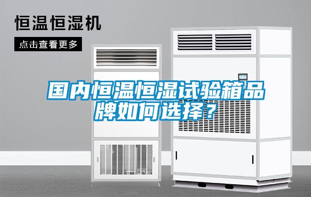 國(guó)內(nèi)恒溫恒濕試驗(yàn)箱品牌如何選擇？