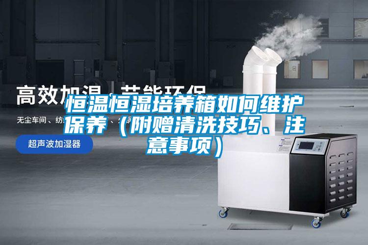 恒溫恒濕培養(yǎng)箱如何維護(hù)保養(yǎng)（附贈(zèng)清洗技巧、注意事項(xiàng)）