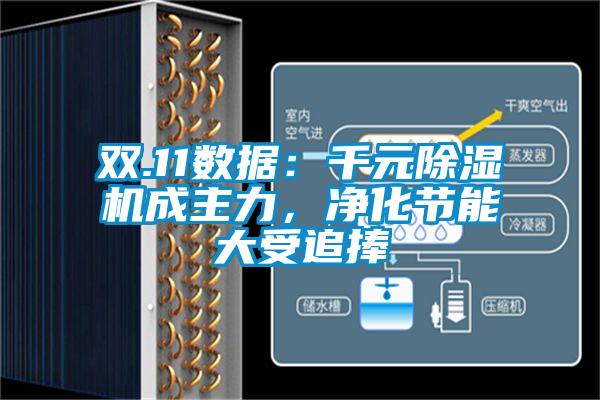 雙.11數(shù)據(jù)：千元除濕機(jī)成主力，凈化節(jié)能大受追捧