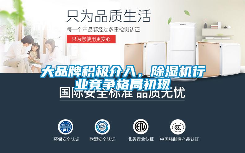 大品牌積極介入，除濕機行業(yè)競爭格局初現(xiàn)