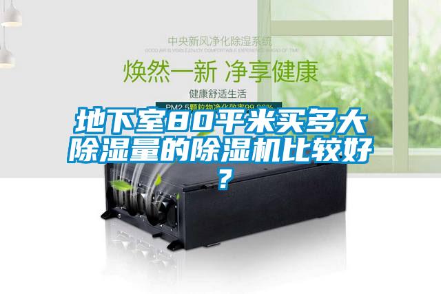 地下室80平米買多大除濕量的除濕機(jī)比較好？