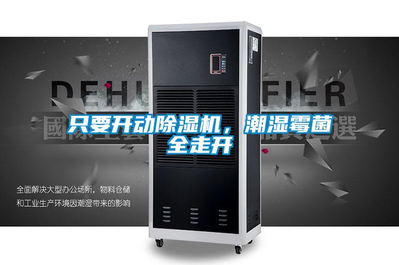 只要開動除濕機(jī)，潮濕霉菌全走開