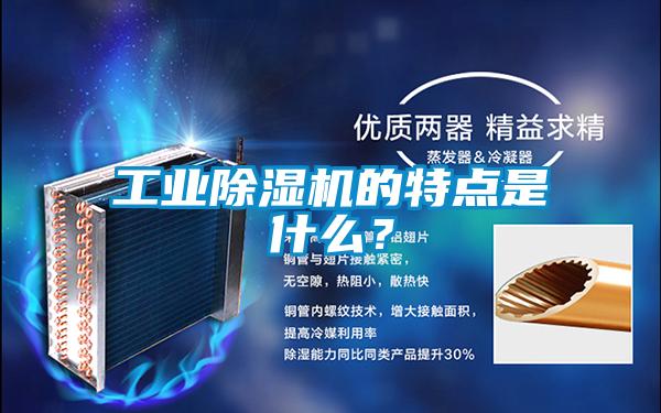 工業(yè)除濕機的特點是什么？