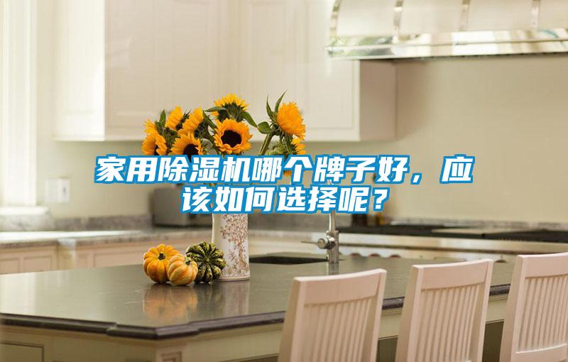 家用除濕機哪個牌子好，應該如何選擇呢？