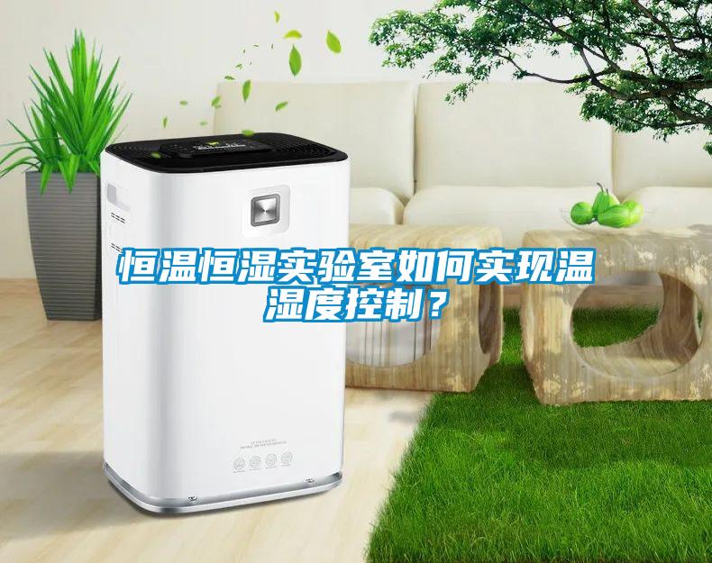 恒溫恒濕實(shí)驗(yàn)室如何實(shí)現(xiàn)溫濕度控制？