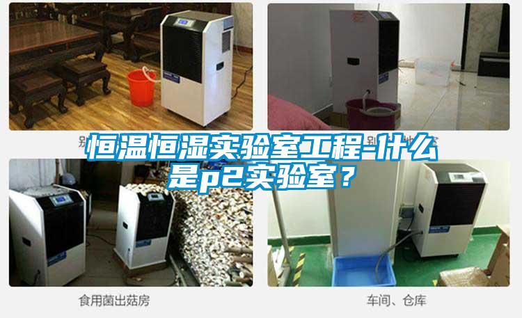 恒溫恒濕實(shí)驗(yàn)室工程-什么是p2實(shí)驗(yàn)室？