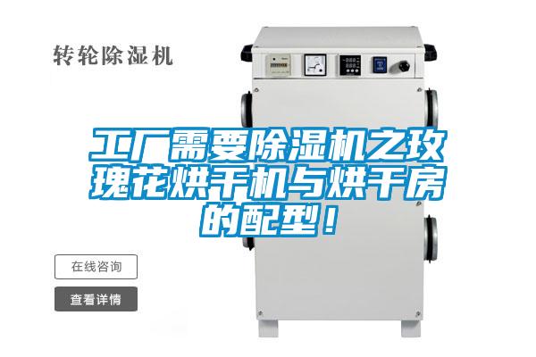 工廠需要除濕機之玫瑰花烘干機與烘干房的配型！