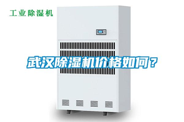 武漢除濕機價格如何？