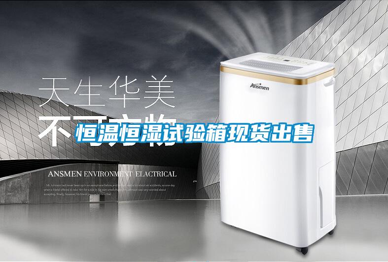 恒溫恒濕試驗箱現(xiàn)貨出售