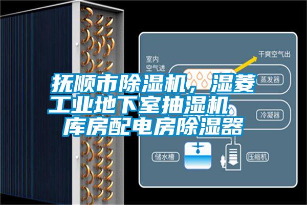 撫順市除濕機，濕菱工業(yè)地下室抽濕機  庫房配電房除濕器