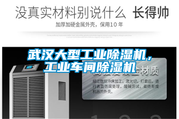 武漢大型工業(yè)除濕機，工業(yè)車間除濕機