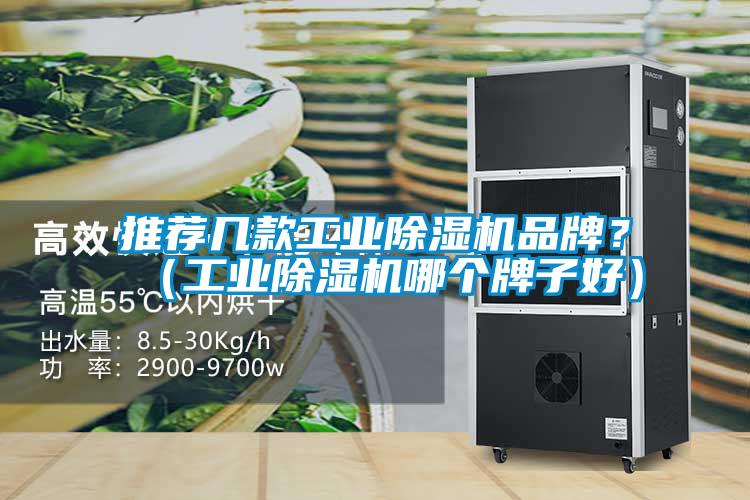 推薦幾款工業(yè)除濕機(jī)品牌？（工業(yè)除濕機(jī)哪個(gè)牌子好）