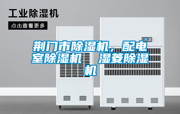 荊門市除濕機(jī)，配電室除濕機(jī)  濕菱除濕機(jī)