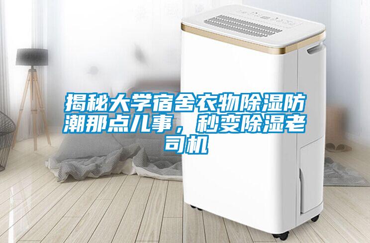 揭秘大學(xué)宿舍衣物除濕防潮那點兒事，秒變除濕老司機