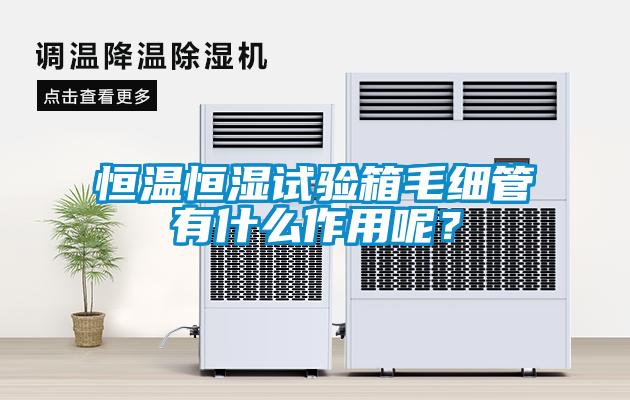 恒溫恒濕試驗(yàn)箱毛細(xì)管有什么作用呢？