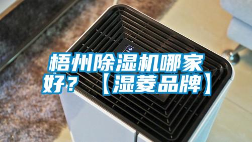 梧州除濕機(jī)哪家好？【濕菱品牌】