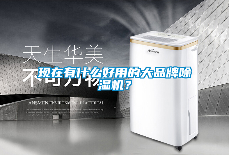 現(xiàn)在有什么好用的大品牌除濕機？