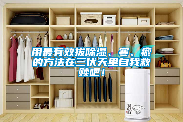 用最有效拔除濕、寒、瘀的方法在三伏天里自我救贖吧！