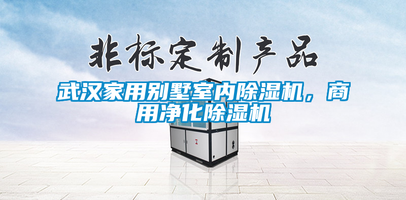 武漢家用別墅室內除濕機，商用凈化除濕機