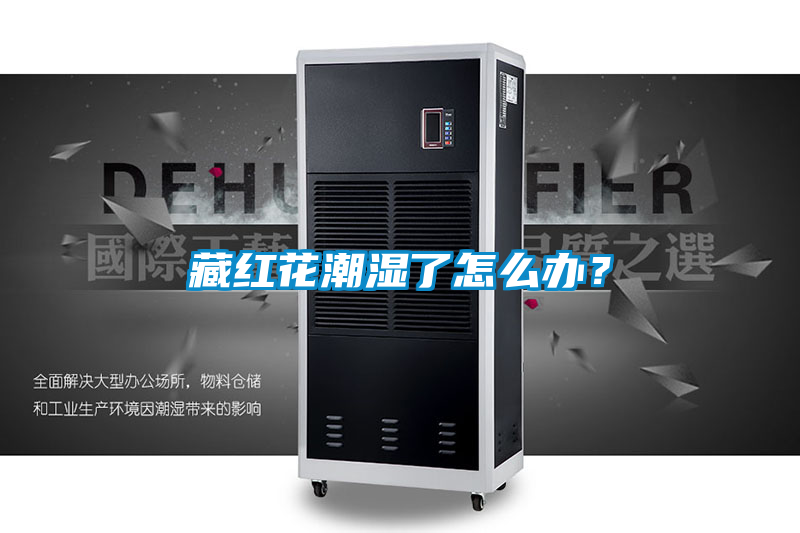 藏紅花潮濕了怎么辦？