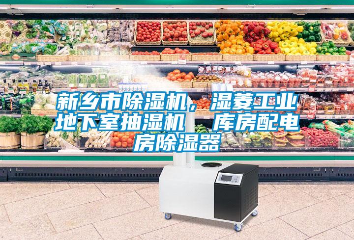 新鄉(xiāng)市除濕機(jī)，濕菱工業(yè)地下室抽濕機(jī)  庫(kù)房配電房除濕器