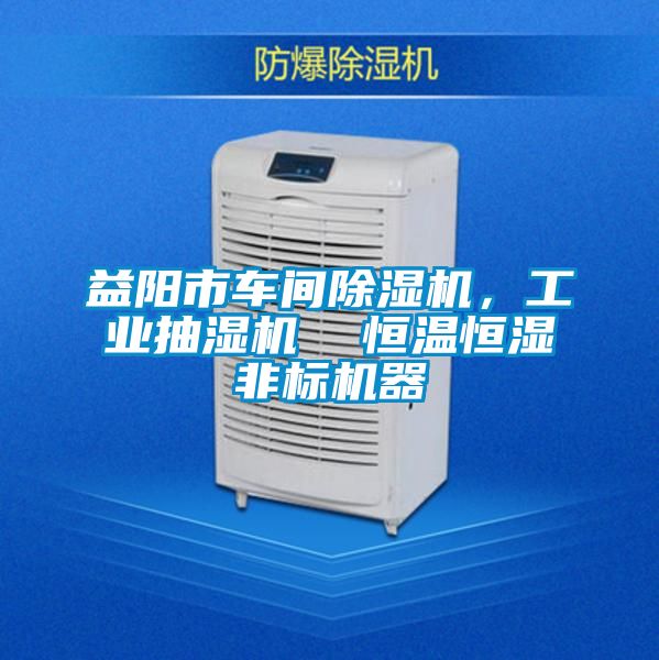益陽市車間除濕機，工業(yè)抽濕機  恒溫恒濕非標(biāo)機器