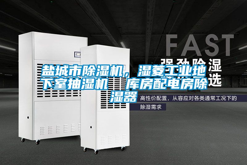 鹽城市除濕機，濕菱工業(yè)地下室抽濕機  庫房配電房除濕器