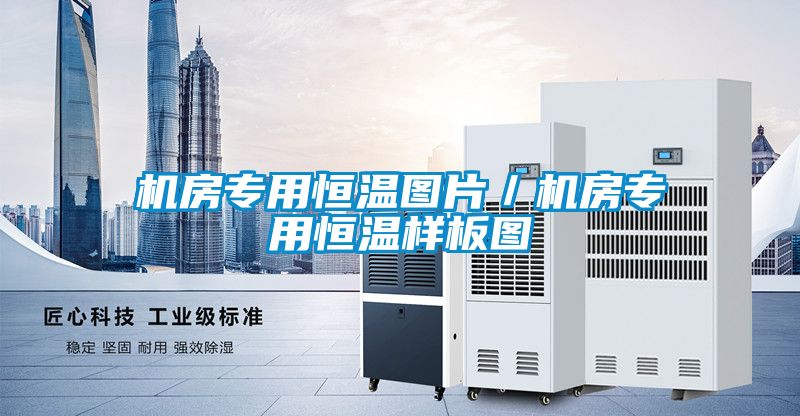 機(jī)房專(zhuān)用恒溫圖片／機(jī)房專(zhuān)用恒溫樣板圖