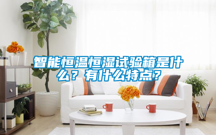 智能恒溫恒濕試驗箱是什么？有什么特點？