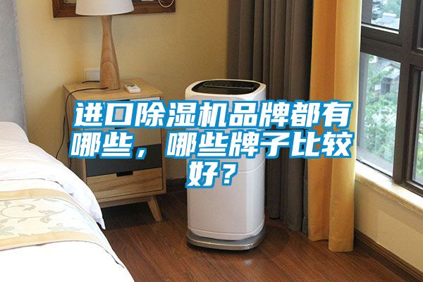 進(jìn)口除濕機(jī)品牌都有哪些，哪些牌子比較好？