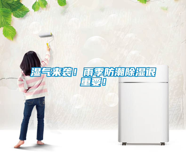 濕氣來(lái)襲！雨季防潮除濕很重要！