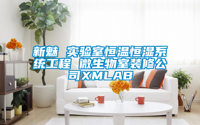 新魅 實(shí)驗室恒溫恒濕系統(tǒng)工程 微生物室裝修公司XMLAB