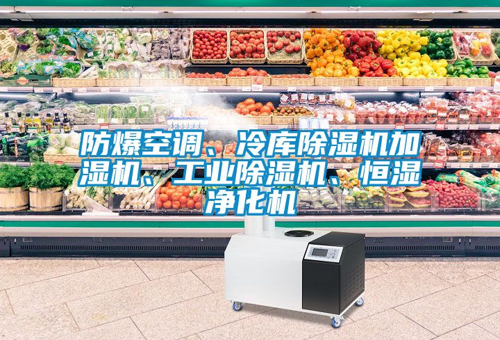 防爆空調(diào)、冷庫(kù)除濕機(jī)加濕機(jī)、工業(yè)除濕機(jī)、恒濕凈化機(jī)