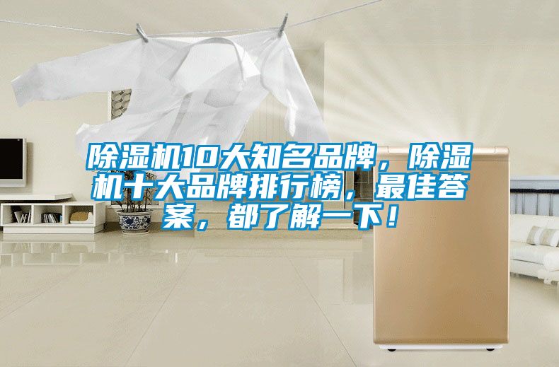 除濕機(jī)10大知名品牌，除濕機(jī)十大品牌排行榜，最佳答案，都了解一下！