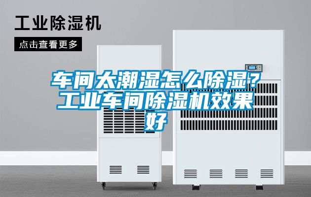 車間太潮濕怎么除濕？工業(yè)車間除濕機(jī)效果好