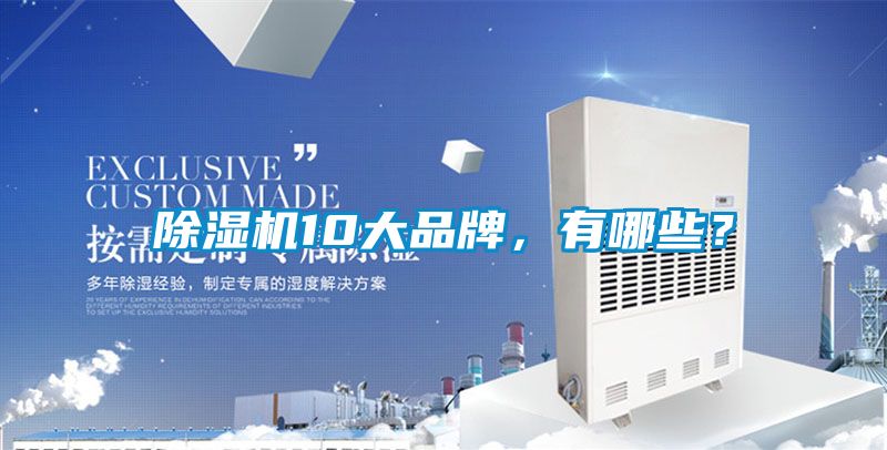 除濕機10大品牌，有哪些？
