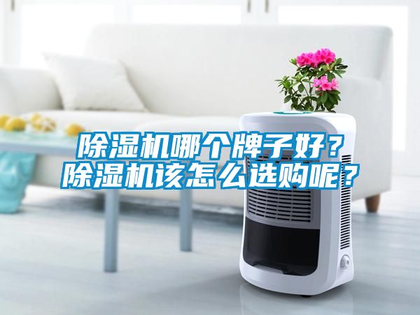 除濕機(jī)哪個(gè)牌子好？除濕機(jī)該怎么選購(gòu)呢？