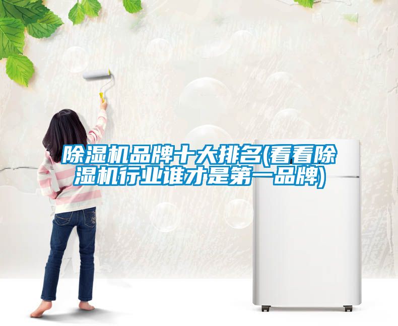 除濕機(jī)品牌十大排名(看看除濕機(jī)行業(yè)誰(shuí)才是第一品牌)