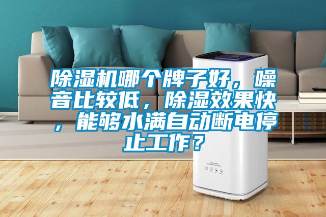 除濕機(jī)哪個(gè)牌子好，噪音比較低，除濕效果快，能夠水滿自動(dòng)斷電停止工作？