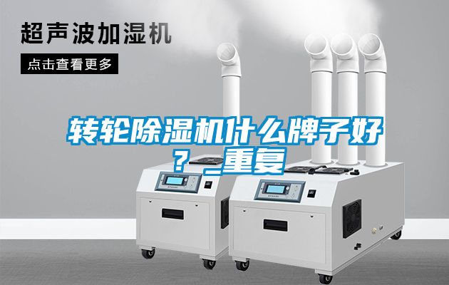 轉(zhuǎn)輪除濕機(jī)什么牌子好？_重復(fù)