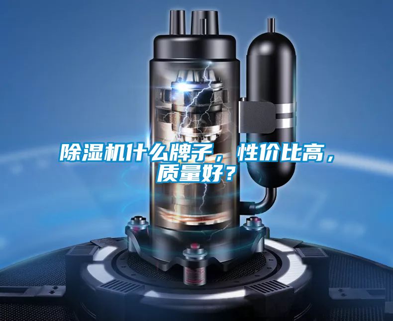 除濕機(jī)什么牌子，性價(jià)比高，質(zhì)量好？