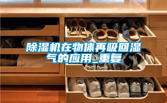 除濕機在物體再吸回濕氣的應(yīng)用_重復(fù)