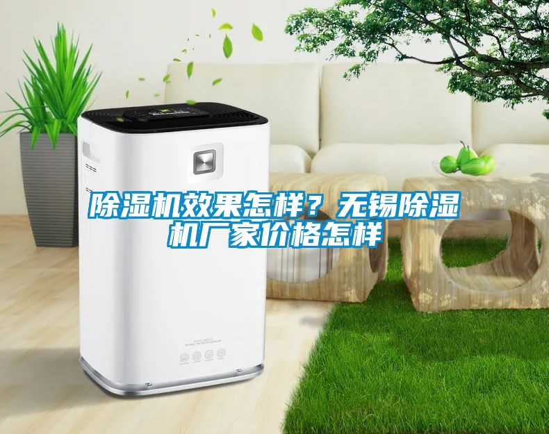 除濕機效果怎樣？無錫除濕機廠家價格怎樣