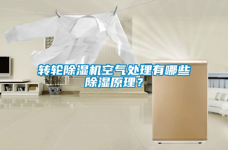 轉(zhuǎn)輪除濕機(jī)空氣處理有哪些除濕原理？