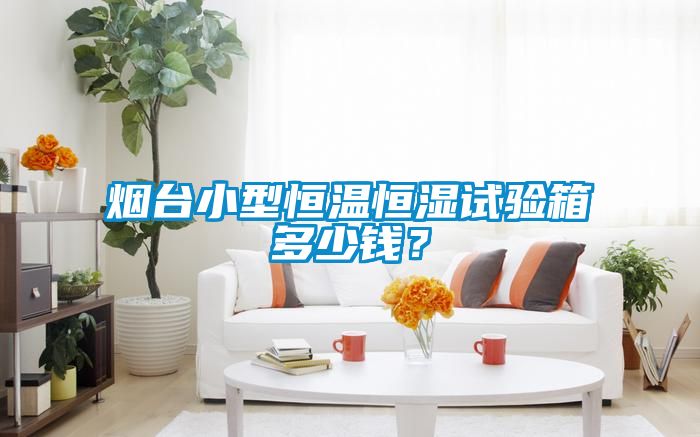 煙臺小型恒溫恒濕試驗(yàn)箱多少錢？