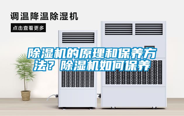 除濕機(jī)的原理和保養(yǎng)方法？除濕機(jī)如何保養(yǎng)