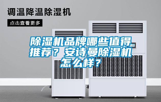 除濕機(jī)品牌哪些值得推薦？安詩曼除濕機(jī)怎么樣？