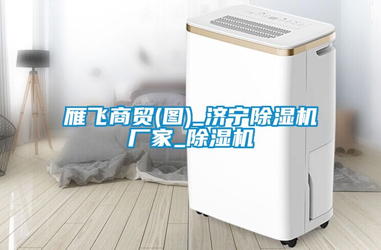 雁飛商貿(mào)(圖)_濟(jì)寧除濕機(jī)廠(chǎng)家_除濕機(jī)