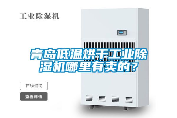 青島低溫烘干工業(yè)除濕機(jī)哪里有賣的？