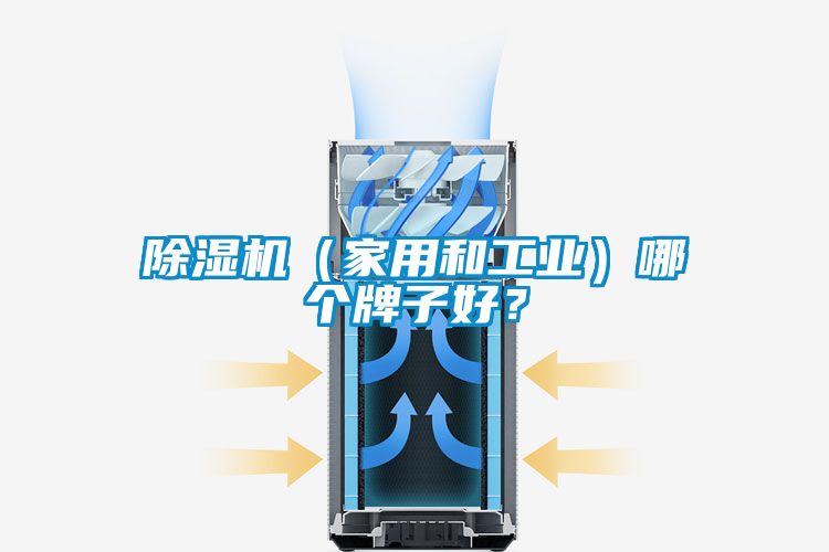 除濕機（家用和工業(yè)）哪個牌子好？